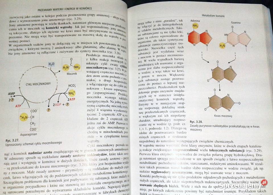 Biologia Cz 2 Podręcznik Tom 1 K Starońi inni lubelskie sprzedam