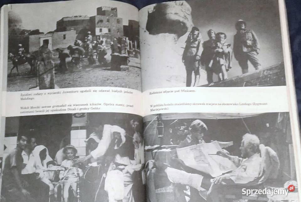 Z Tomkiem i Moniką w pustyni i w puszczy W Chełm