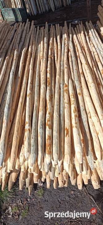 Palik tyczki do drzewekmalin i na ogrodzenie