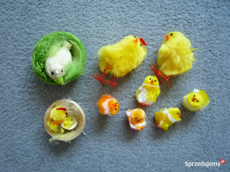 Wielkanoc Jajka Pisanki Kurczaki Kury Płotek zachodniopomorskie Szczecin