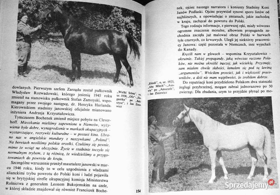 Konie rubinowe Ireneusz J Kamiński Pozostałe Chełm