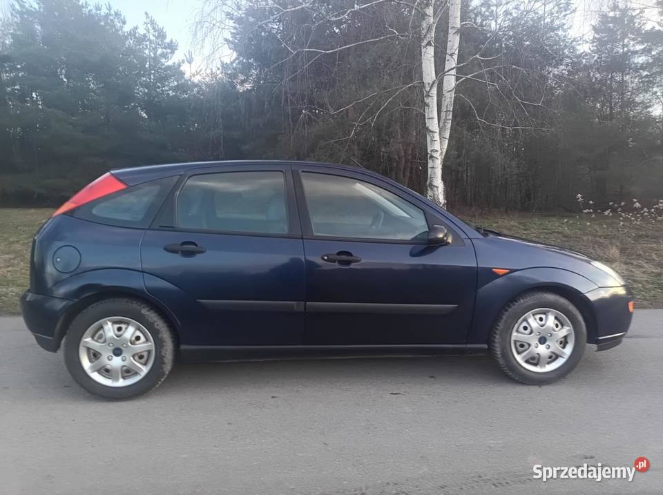 Ford Focus 16 BenzynaZadbanyBez Korozji manualna Sędziszów Małopolski