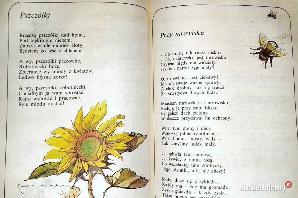 Co słonko widziało Maria Konopnicka Rok wydania 1984