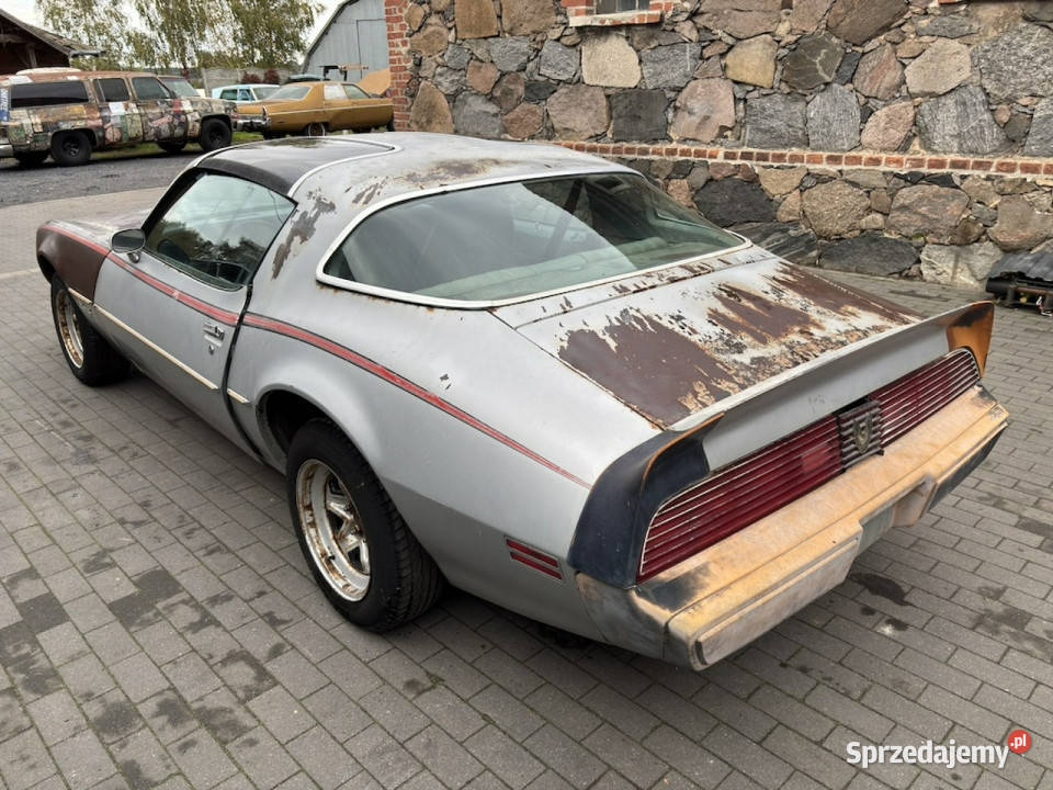 Pontiac Firebird Trans Am Pontiac Firebird 1981 Sportowy / Coupe lubuskie Sulechów sprzedam