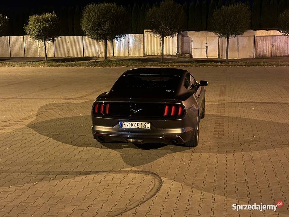 Ford mustang 37 305 nieuszkodzony wielkopolskie Zdrój