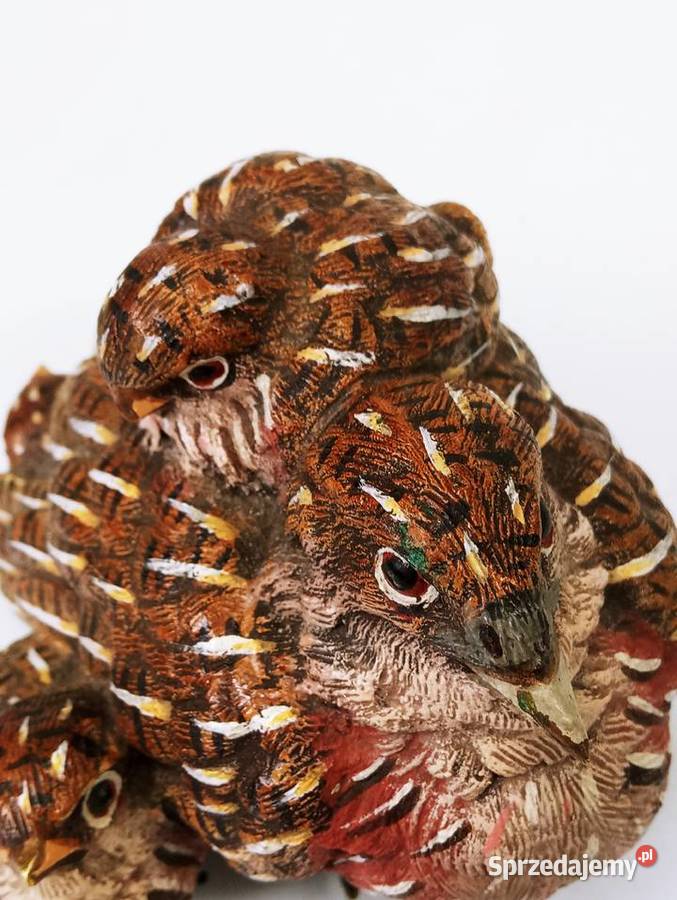 Rzeźba Figura Przepiórka z 3 Pisklętami Brąz Nowa Sól