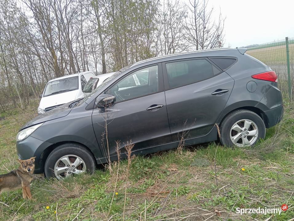 Syndyk sprzeda samochód osobowy Hyunday ix35 III manualna Ciechanów