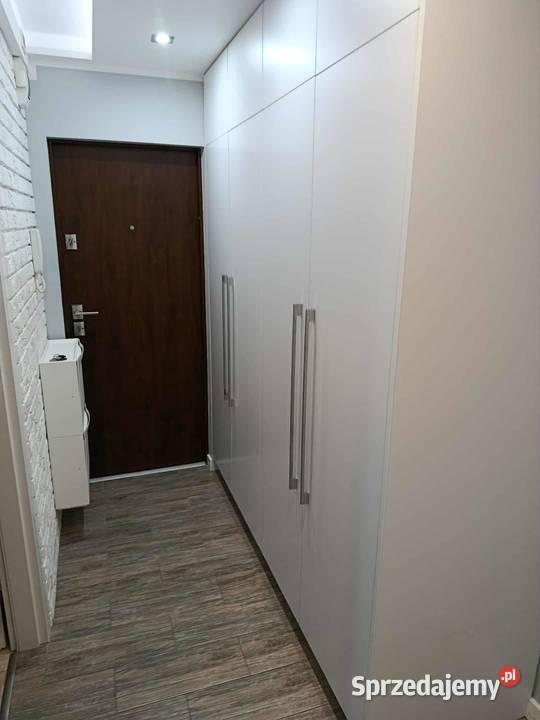 wynajmę mieszkanie 39 mkw na parterze Płock