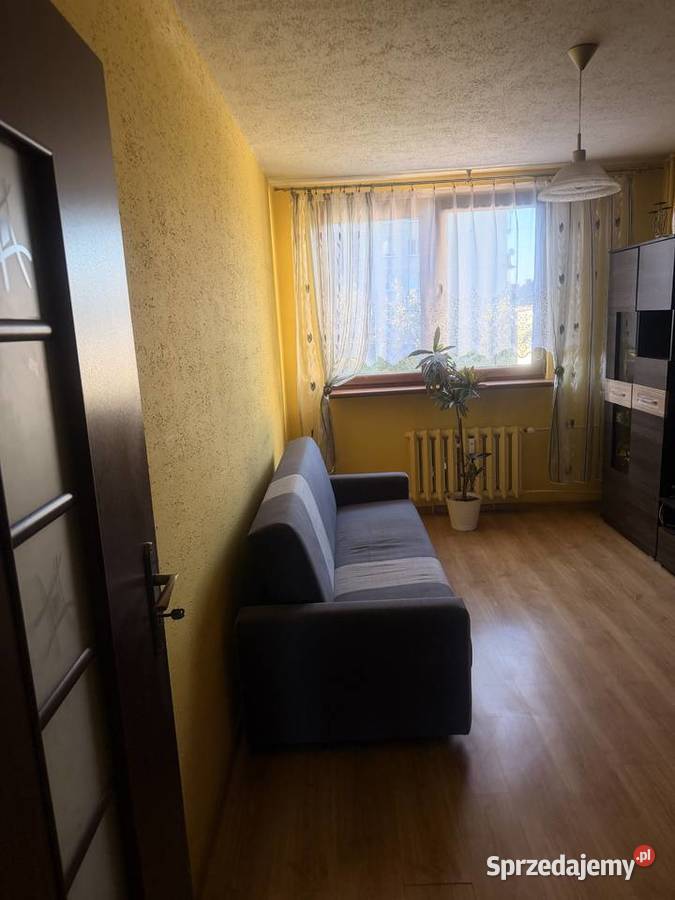 Sprzedam mieszkanie własnościowe piwnica
