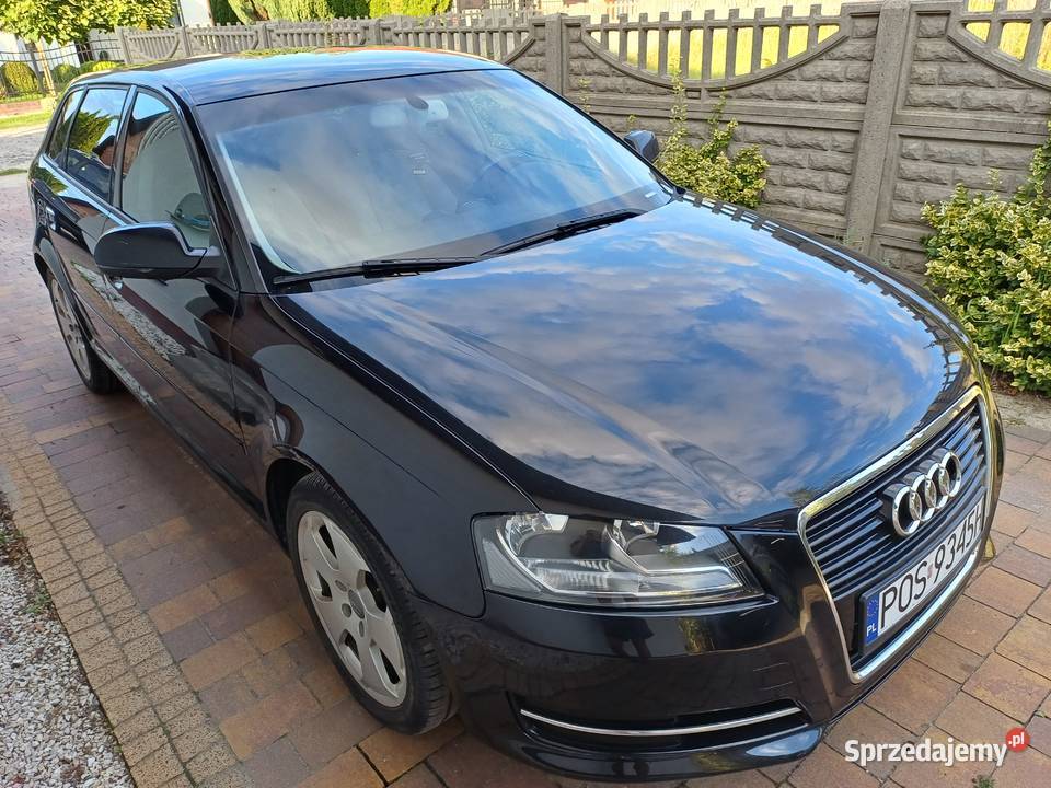 Audi A3 8P Lift 16 TDI przebieg 128 Ostrów Wielkopolski sprzedam