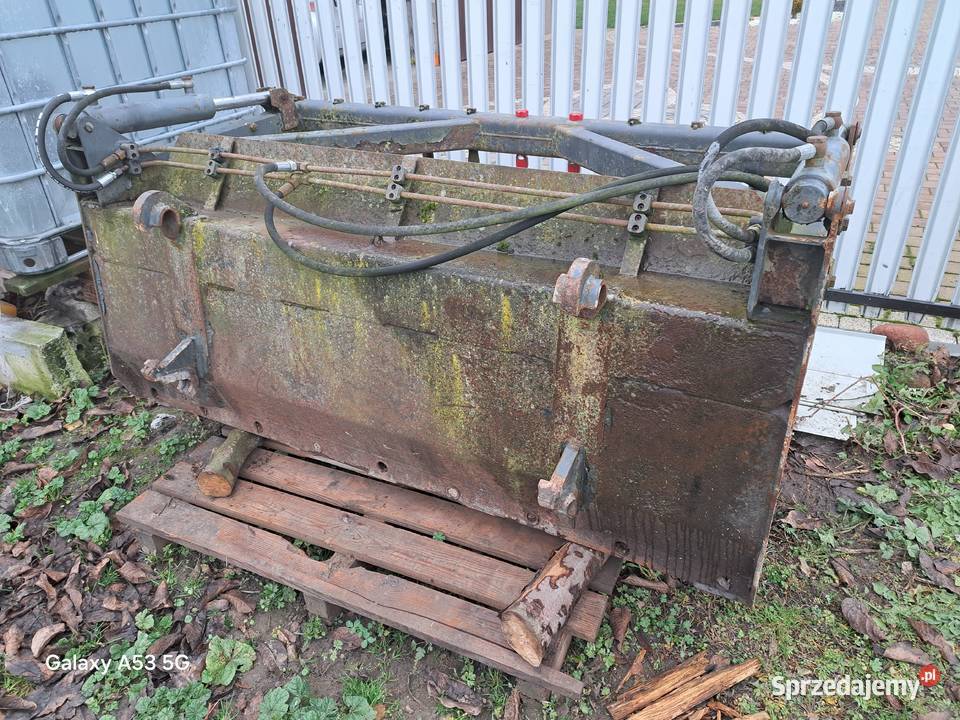 Łyżkokrokodyl w b stanie