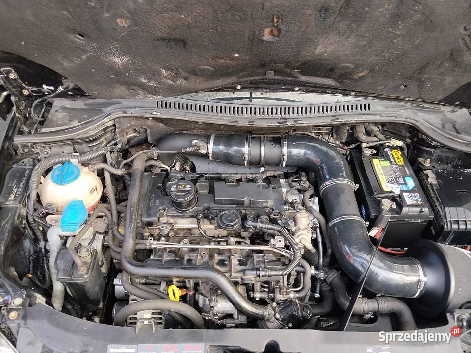 Seat Leon Cupra 20 320 2010 Lift Uszkodzony 4/5 Cupra Sochaczew