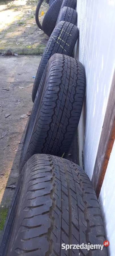 1958015 5 wielosezon kujawsko-pomorskie