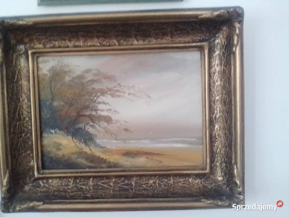 Jerzy Haponiuk pomorskie Gdynia