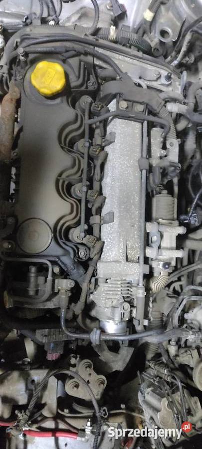 Vectra c 19 DPF katalizator półoś inne Gniezno