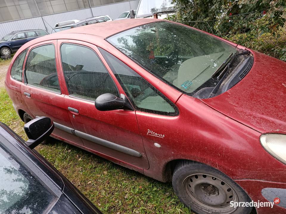 Citroen Xsara Picasso 20 HDi 66 kW 2002 r dawca Szklarka Myślniewska