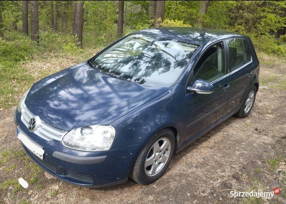 Volkswagen Golf V 14 mpi dolnośląskie Oleśnica