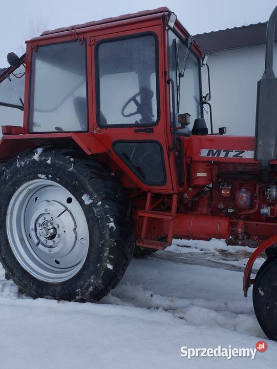Mtz 80 Belarus 82 Pronar świętokrzyskie sprzedam