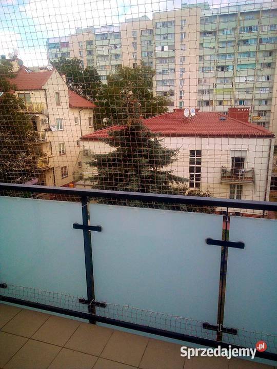 Montaż siatki zabezpieczającej na balkon kota Warszawa usługa dla zwierząt