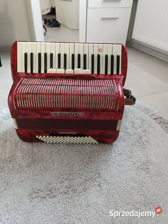 Akordeon cantulia 96 basów Dębica