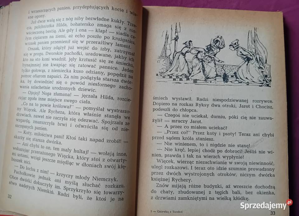 Jadwiga i Anna Chamiec Gniewko z Turoboi Wyd I Koźminek sprzedam