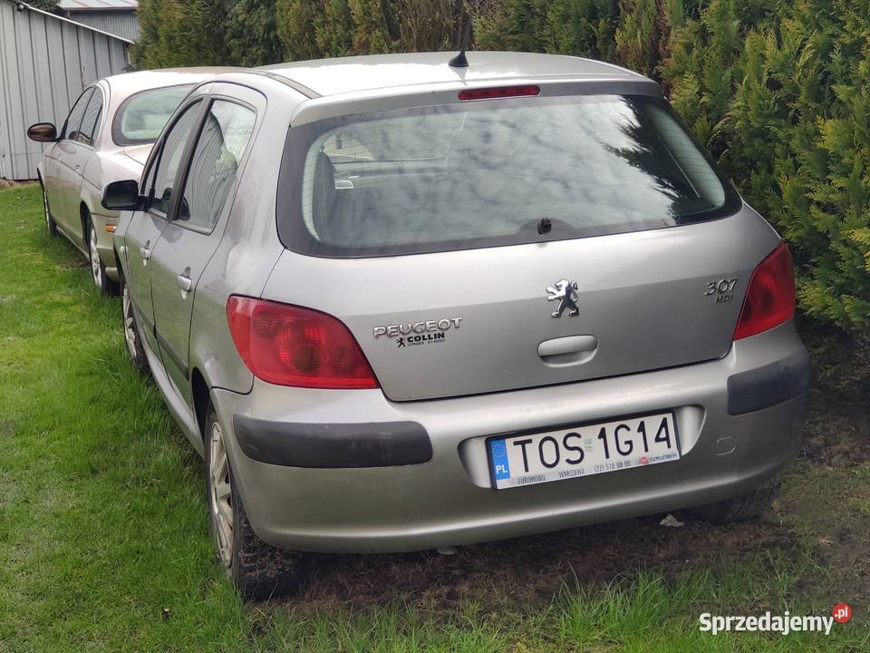 Peugeot 307 srebrny rocznik 2002 Ćmielów