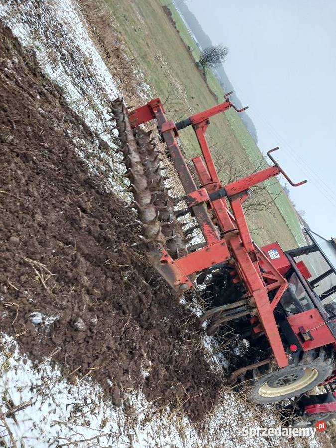 Gruber Landsberg 11 łap Szczuczyn