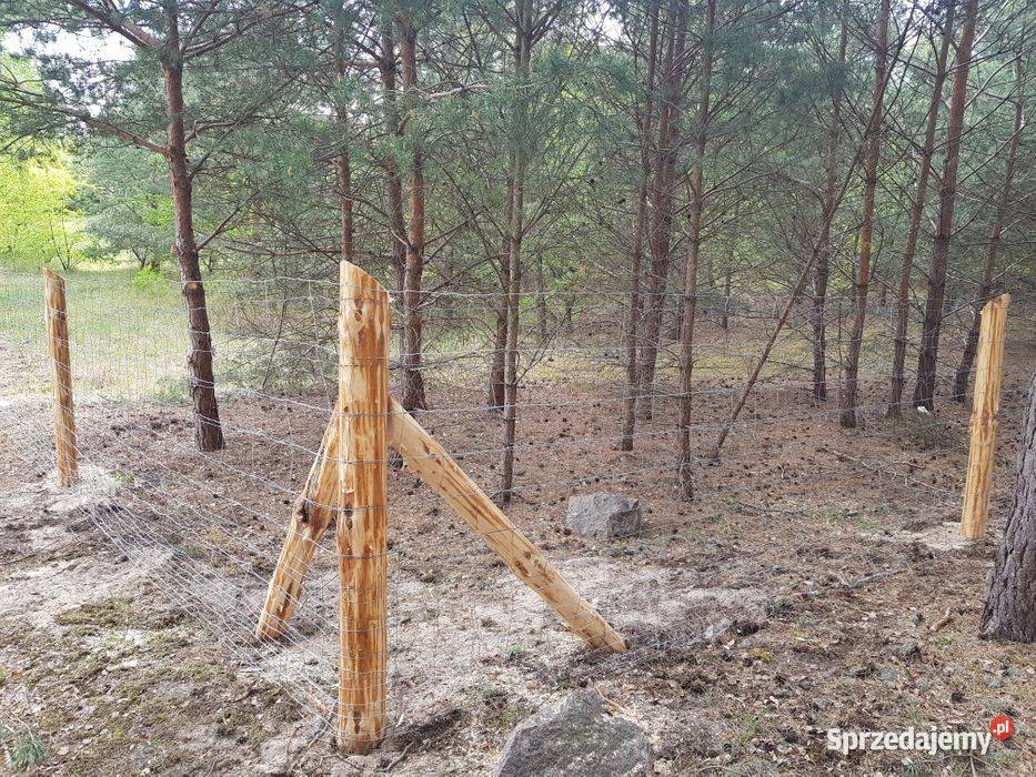 Ogrodzenie budowlane tymczasowe płot siatka drewno Szczecin