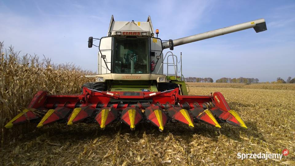 Olimac Drago 8 przystawka do kukurydzy Planta