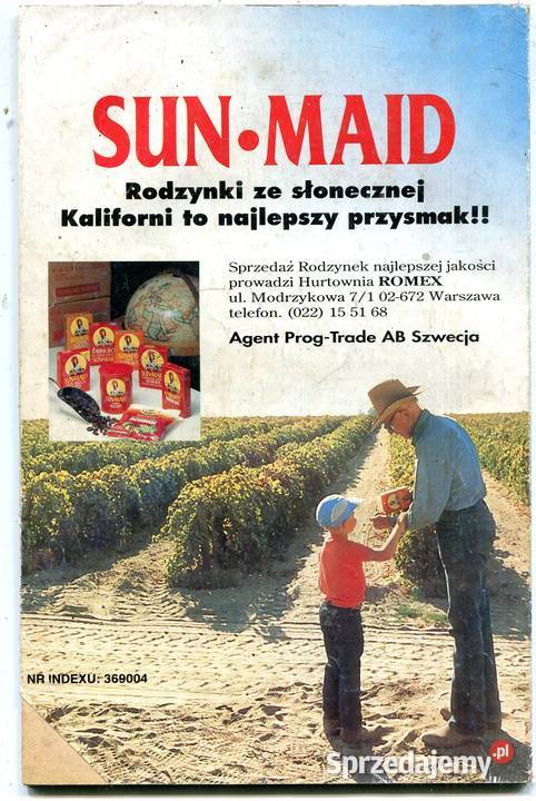 The Punisher Pogromca 21991 KOMIKS Szczecin sprzedam