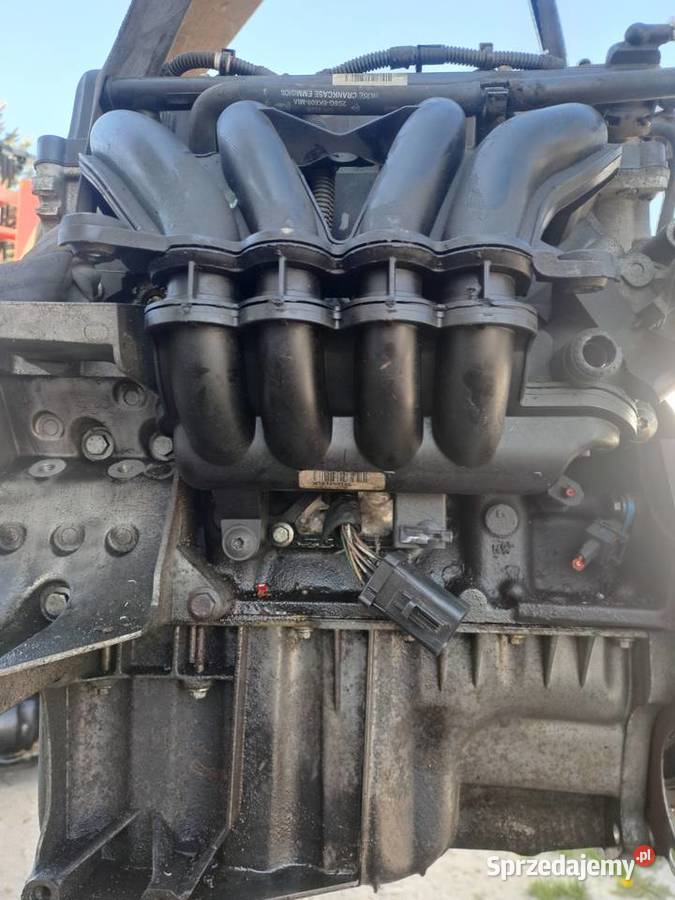 Ford Fiesta MK V VI 13 8v silnik kompletny kod Jastrzębie-Zdrój sprzedam