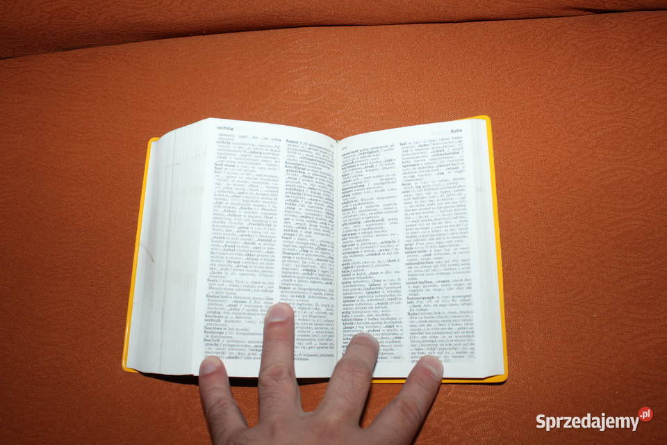 Langenscheidts Taschenwrterbuch Polnisch miękka Chorzów