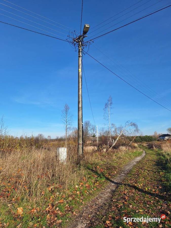 Budzyń Przytyki sprzedam działkę sprzedam