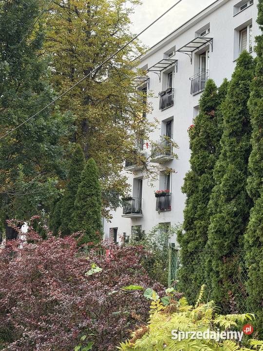 STARE BIELANY 4453 m 2 POKOJE CEGŁA 33 WIDOK NA Warszawa