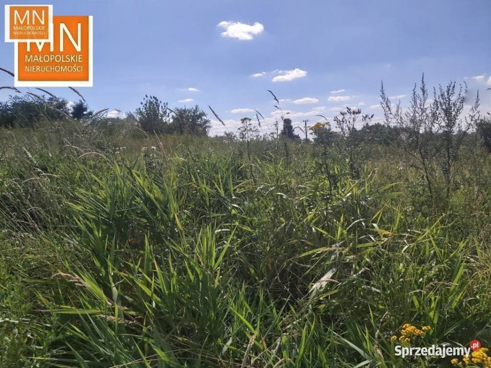 sprzedaży gruntu Jodłówka 800 metrów 106zł/m2