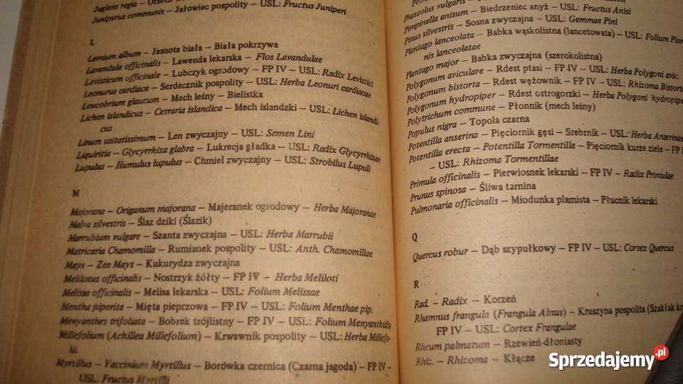 Ziołolecznictwo Klimuszko zdrowie, pierwsza pomoc Bądkowo