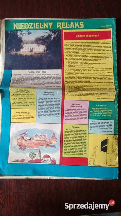 Gospodyni 21 2398 Rok wydania 1990 Stalowa Wola