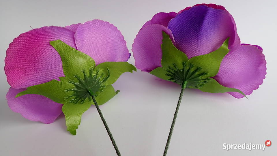 Róże rozwinięte chińskie okazałe 11 Kolory L049 Pozostałe Siewierz sprzedam