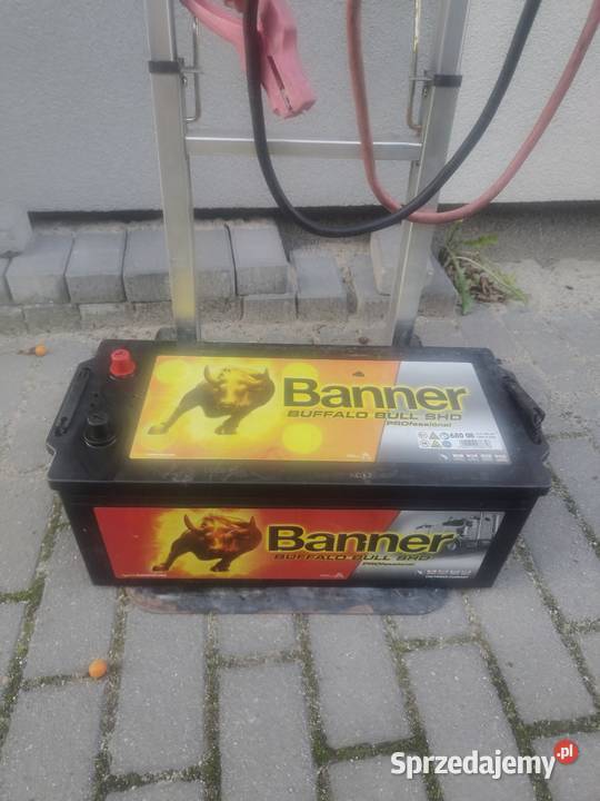 Akumulator Banner Buffalo Bull SHD 180Ah 1000A Swarzędz