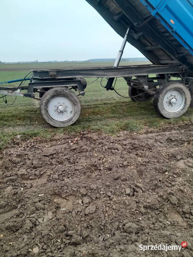 Przyczepa D 55 D55 Autosan Sanok nieuszkodzony łódzkie Babczów