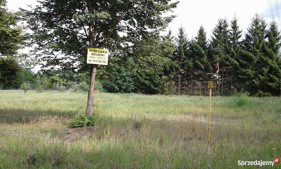 Piękna działka budowlana 25 min Szczecina Niedźwiedź