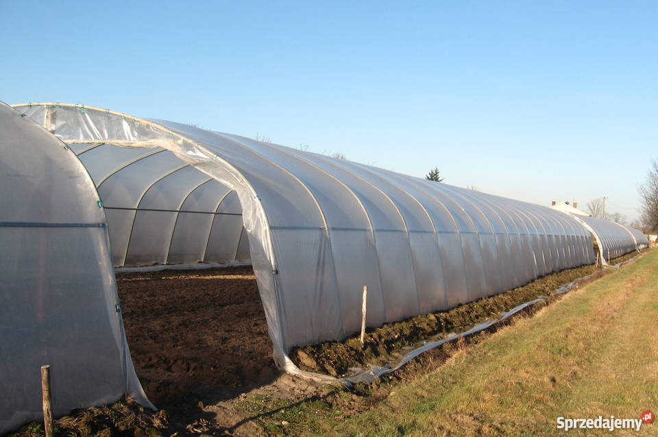 Konstrukcje Tuneli Foliowych Młodynie Dolne sprzedam