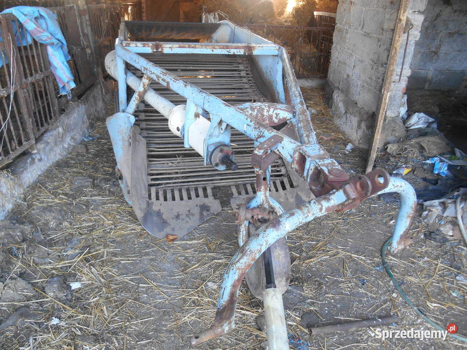 Kombajn BOLKO do ziemniaków Daszyna sprzedam