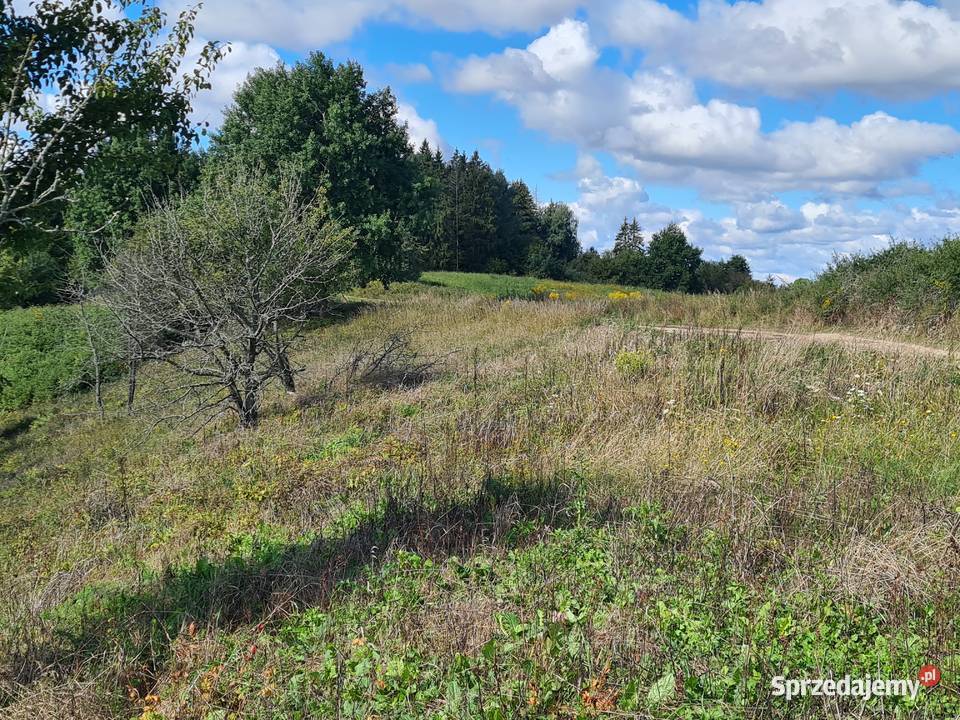 Działka z linią brzegową Zalec