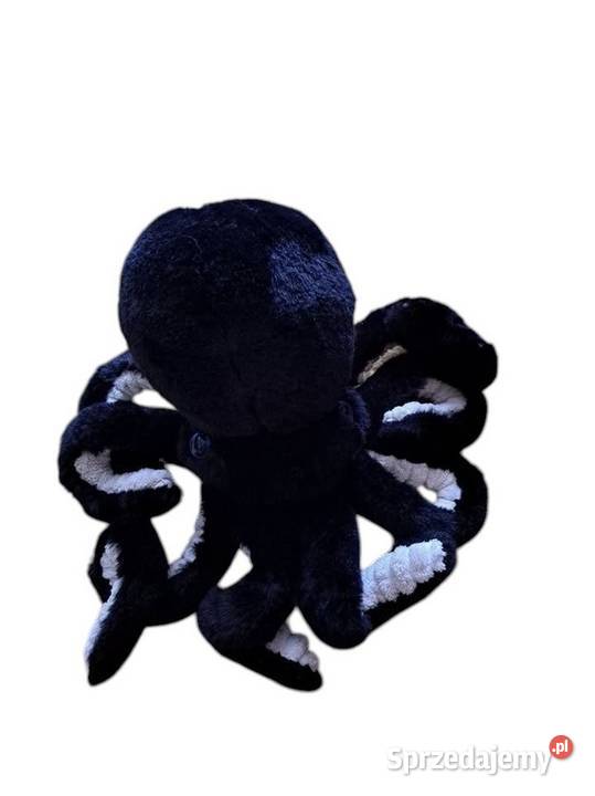 Maskotka ośmiornica Kraków