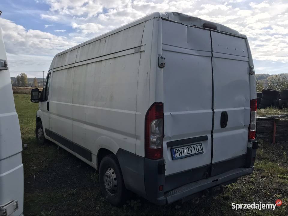 Peugeot Boxer Jumper Ducato 22 120 ogranicznik prędkości Pilica