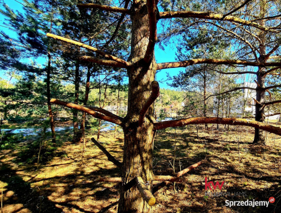 sprzedaży działki Ryjewo 2000m2