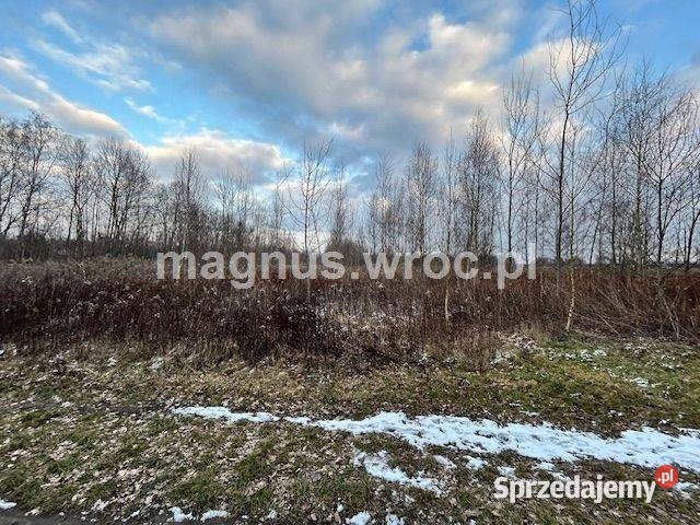 Oferuję działke rolną Bystrzycą w Jerzmanowie Wrocław