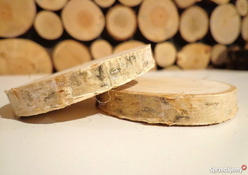 Plaster krążek drewniane 1214 brzoza gr2 Rybnik