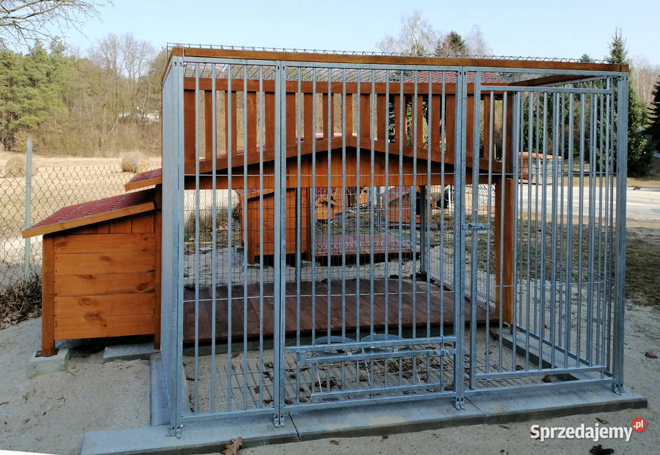 buda z kojcem kojec boks